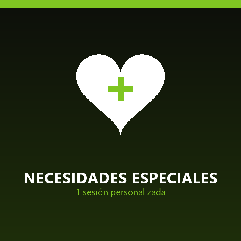 [ACAD-CEN1] Clase personalizada necesidades especiales (1 sesión)